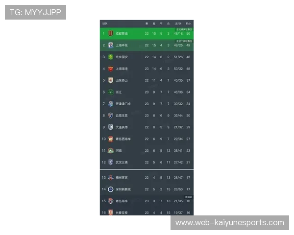中国足球球员薪资排名解析 谁是收入最高的足球明星